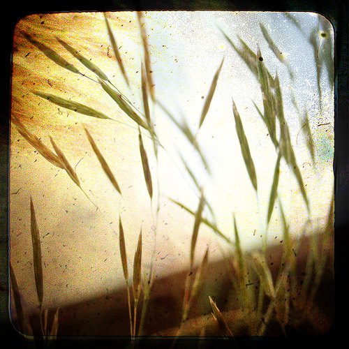 2624930443_0fa4e241dc Ambient Music: More than Background Music