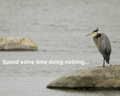 27436647 Gratitude can be found in quiet moments