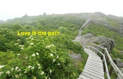 27416066 Get on the right path for your music marketing!